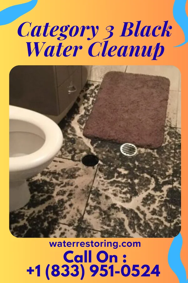 Category 3 Black Water Cleanup in Boles Acres, NM