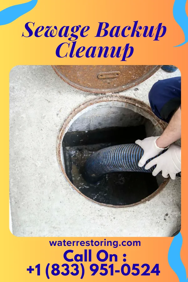 Sewage Backup Cleanup in Boles Acres, NM