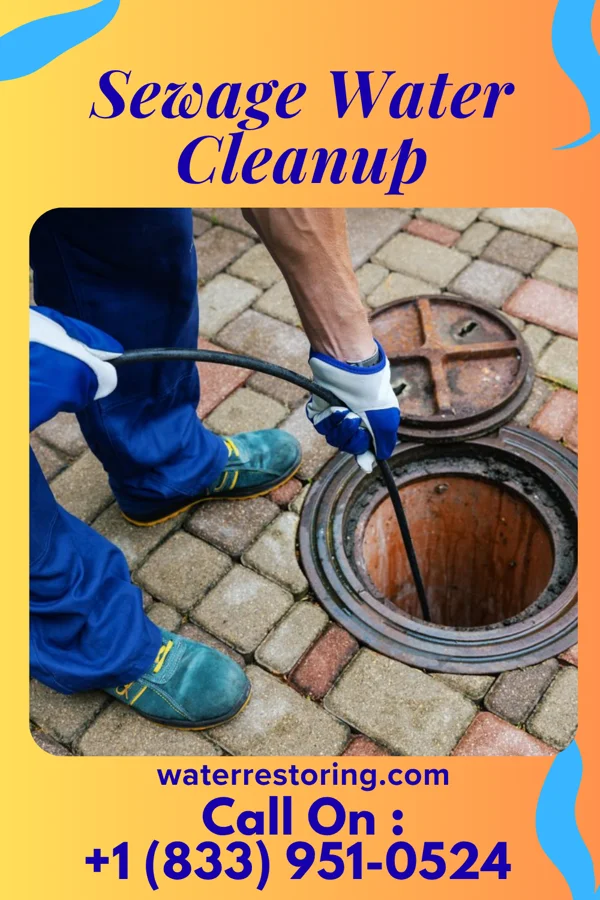 Sewage Water Cleanup in Boles Acres, NM